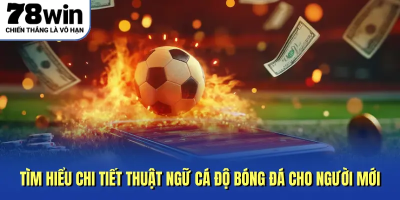 Tìm hiểu chi tiết thuật ngữ cá độ bóng đá cho người mới